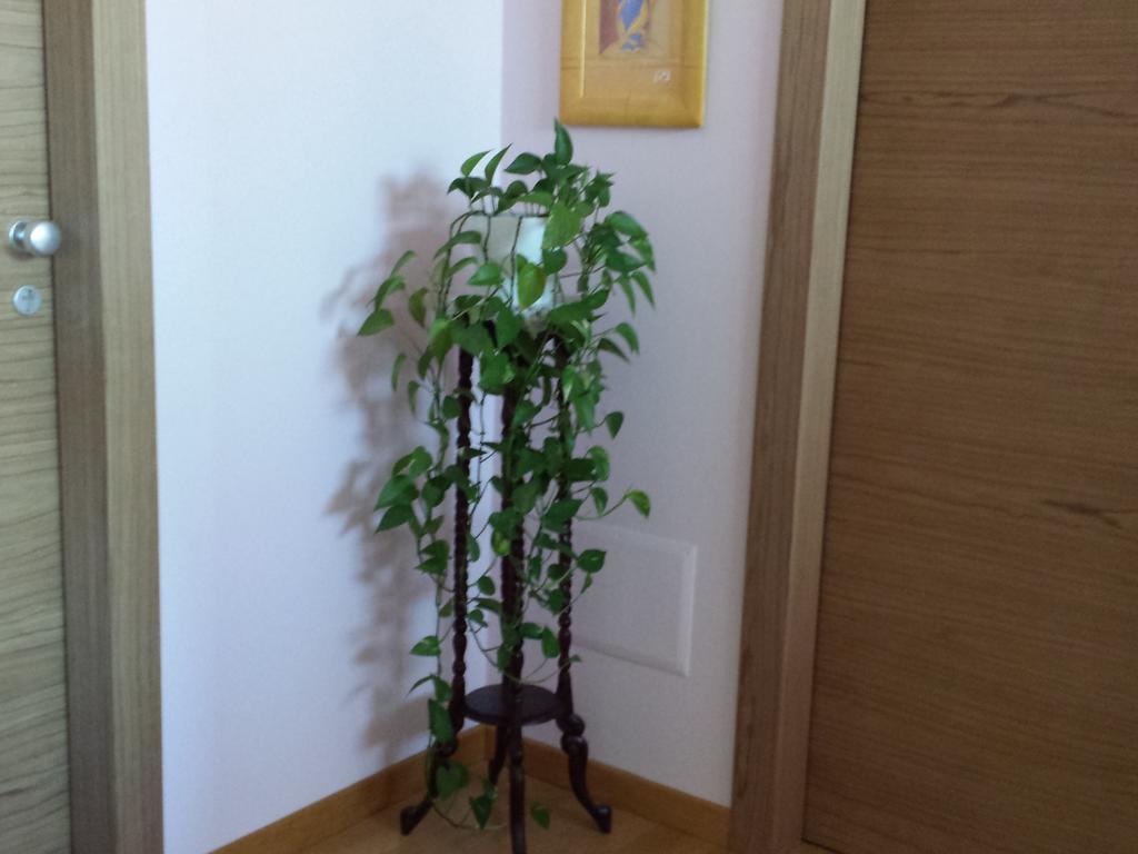 Garden Couette-café